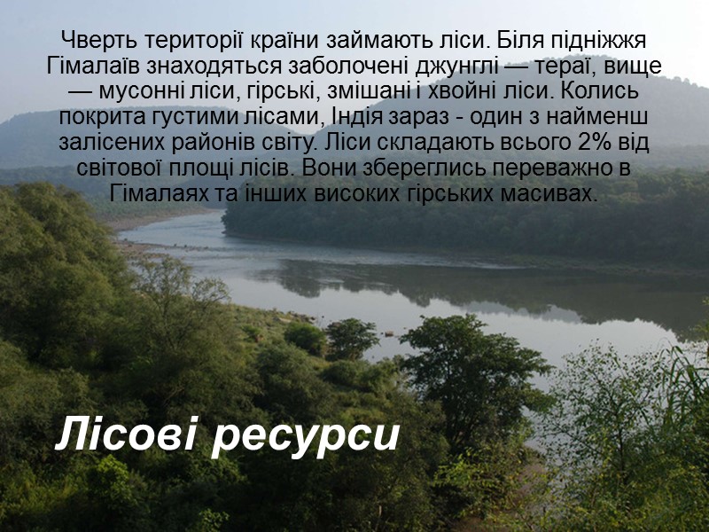 Лісові ресурси Чверть території країни займають ліси. Біля підніжжя Гімалаїв знаходяться заболочені джунглі —